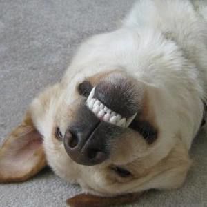 Meet your Posher, Vicki